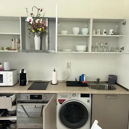 Asparuh Studio3 Apartment 4*